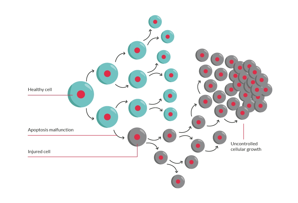 Illustration of abnormal cell division and growth