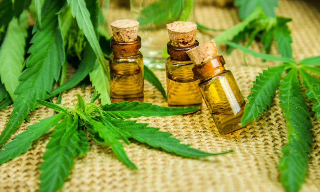 Cannabis derivatives in bottles on cloth surface, examining the effect of cannabis derivatives like CBD in brain tumour treatment