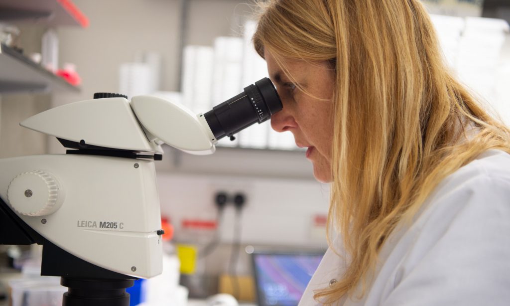 Female scientist examining a specimen under a microscope in a research lab setting.