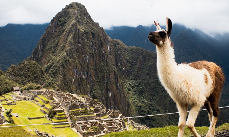 Machu Picchu