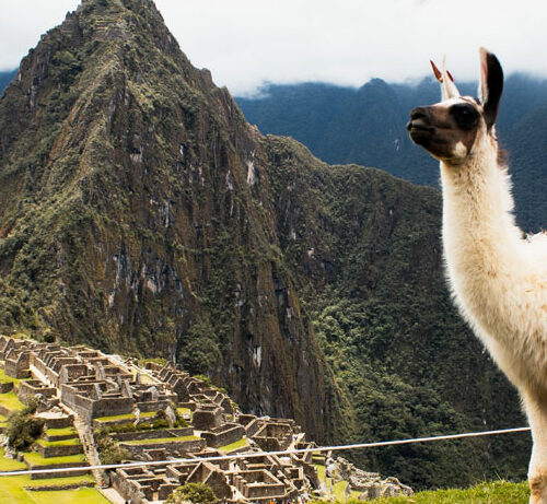 Machu Picchu