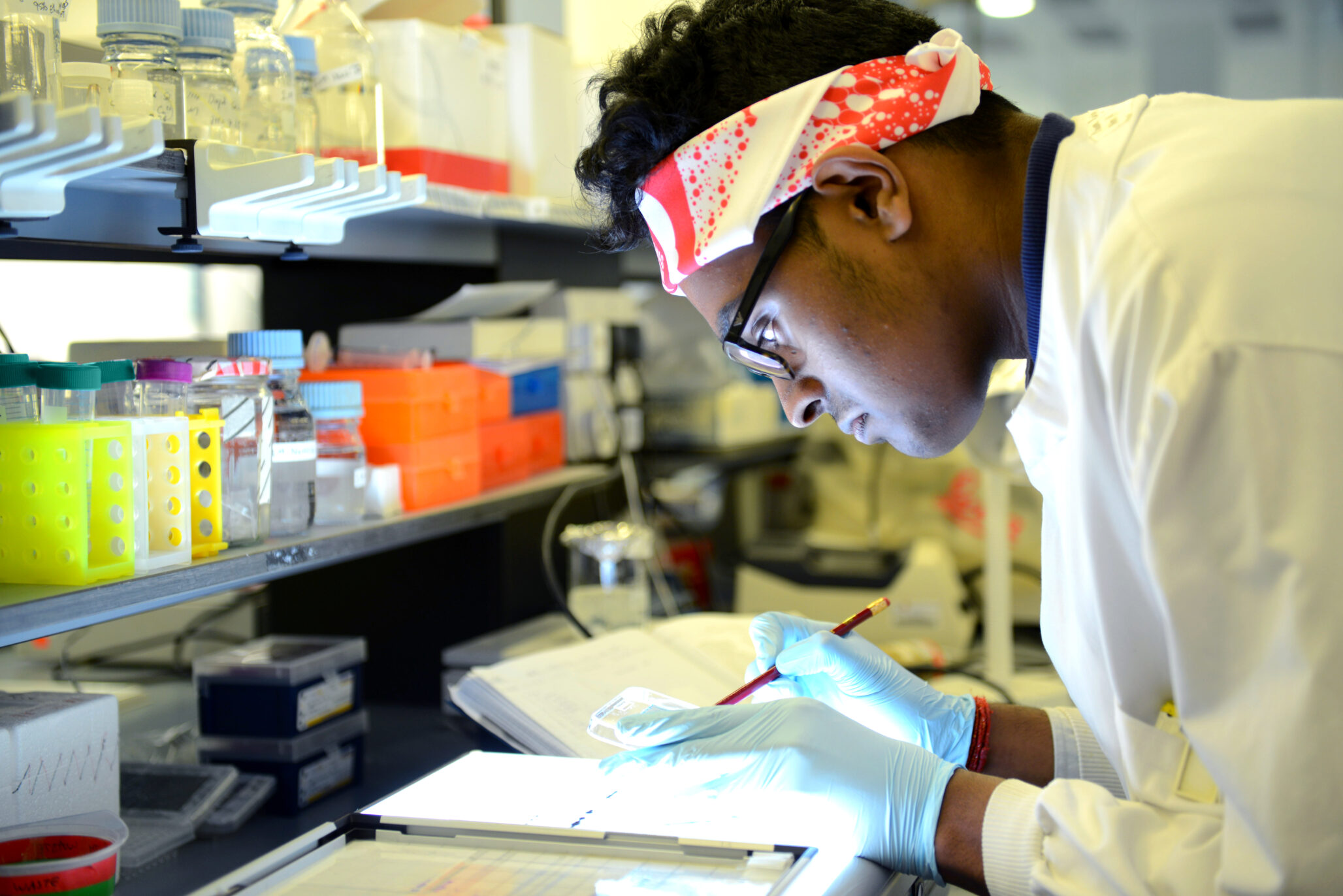 A researcher, a young person of colour wearing a lab coat, blue latex gloves and red, The Brain Tumour Charity-branded bandana, investigates samples over a lightbox.