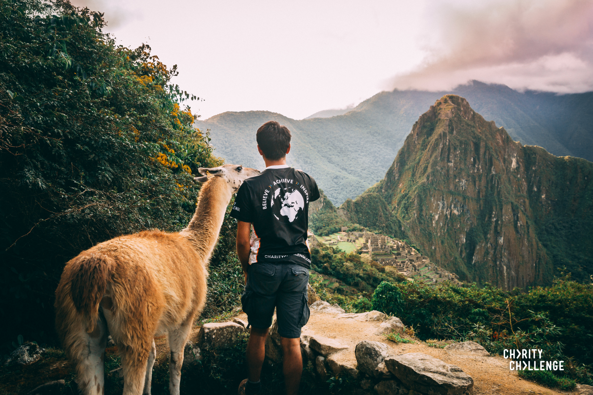 Guide and Alpaca looking over Machu Picchu.