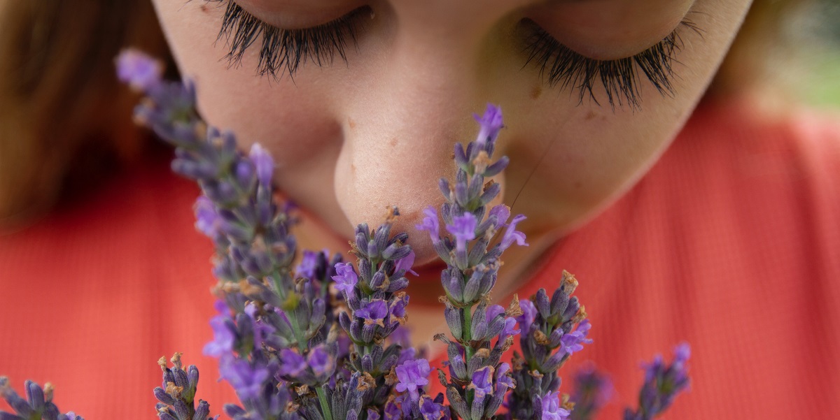 Woman enjoying the scent of lavender flowers in a garden.