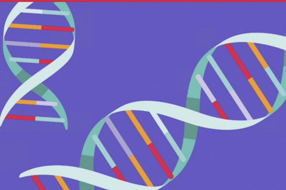 vector graphic of DNA representing our charity strategy goal of accelerating a cure