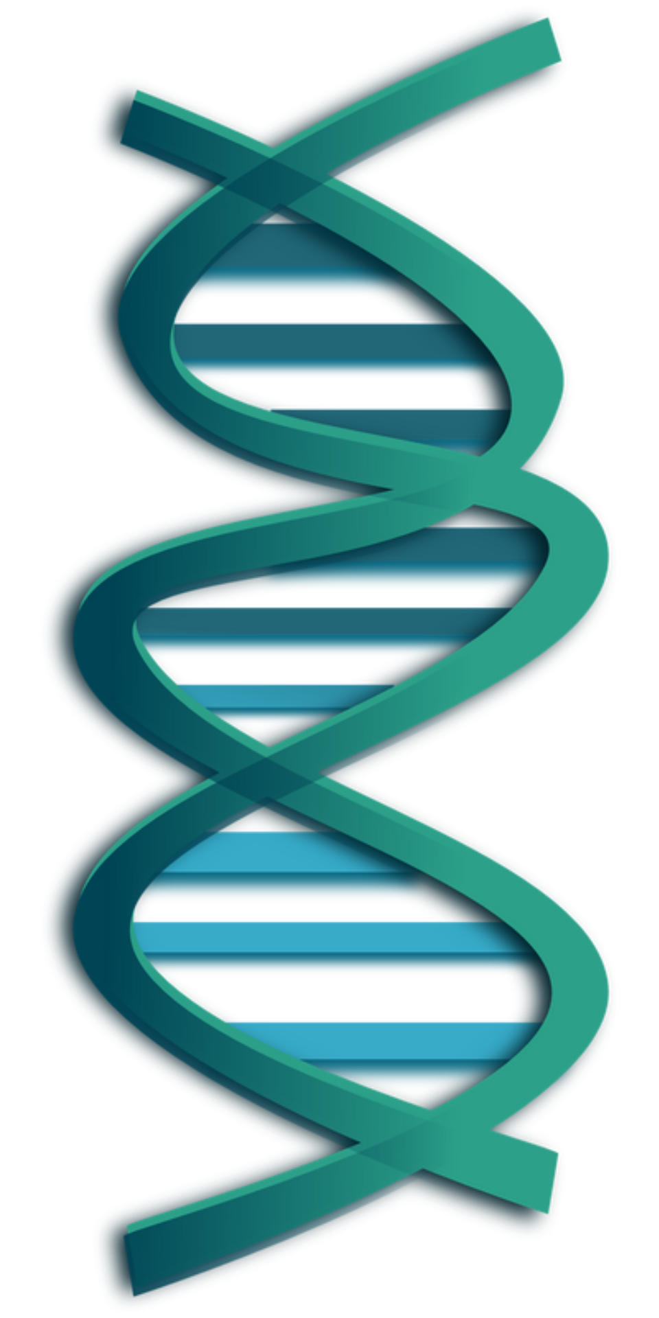 A green and blue illustration of DNA. Tumour DNA with a BRAF mutation responds well to a combination treatment of dabrafenib and trametinib