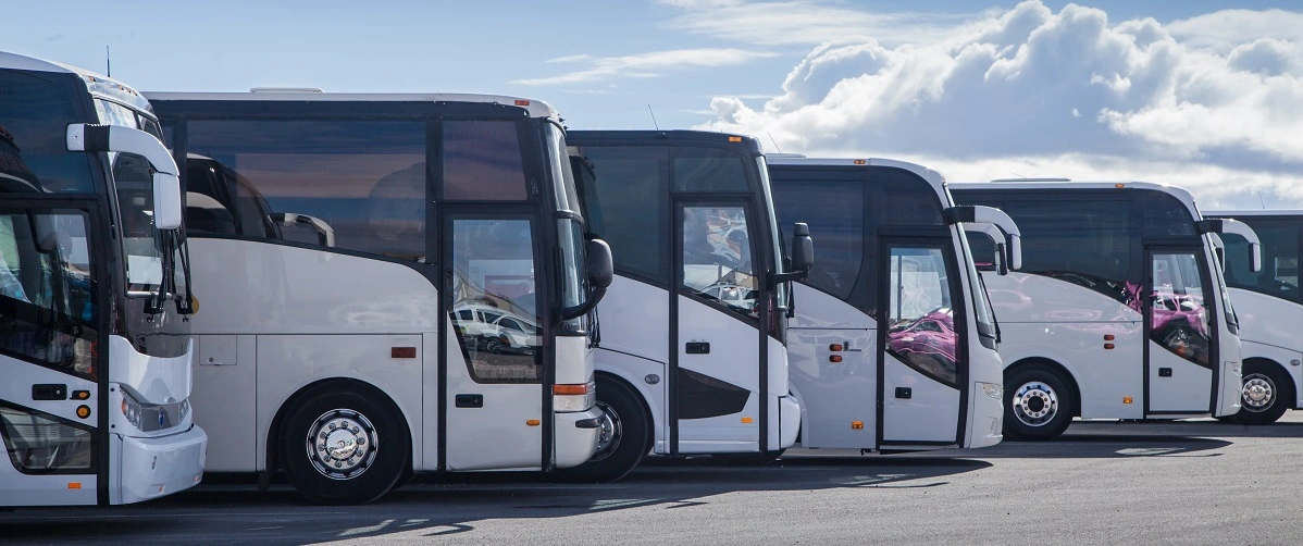 coaches parked in a row