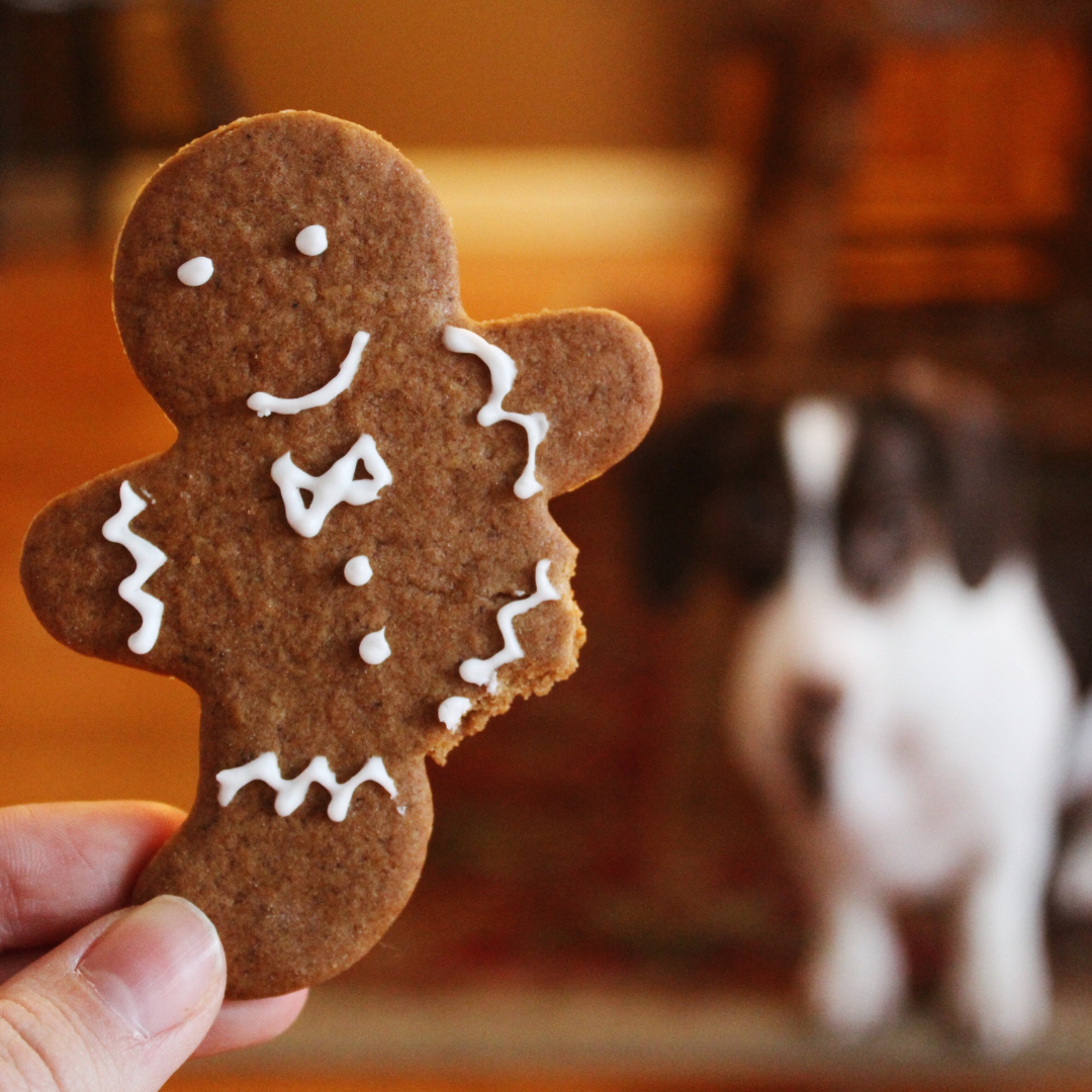 Gingerbread person in a hand with a dog in the background