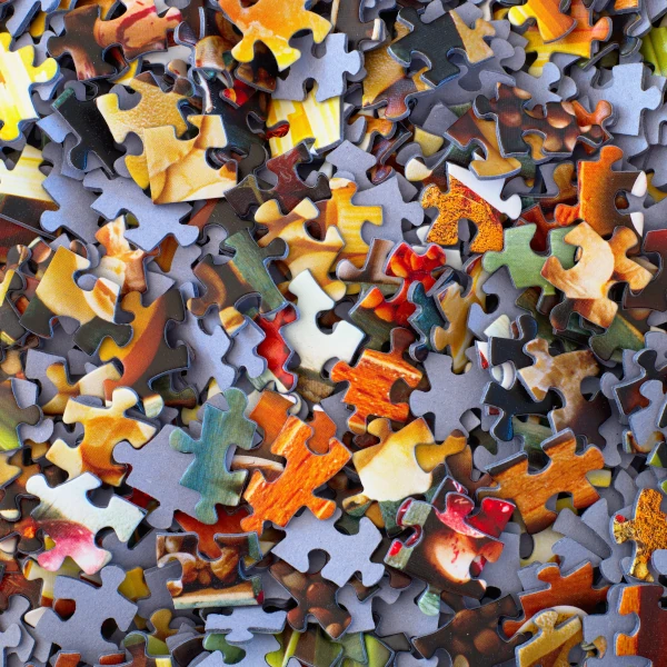 jigsaw puzzle pieces