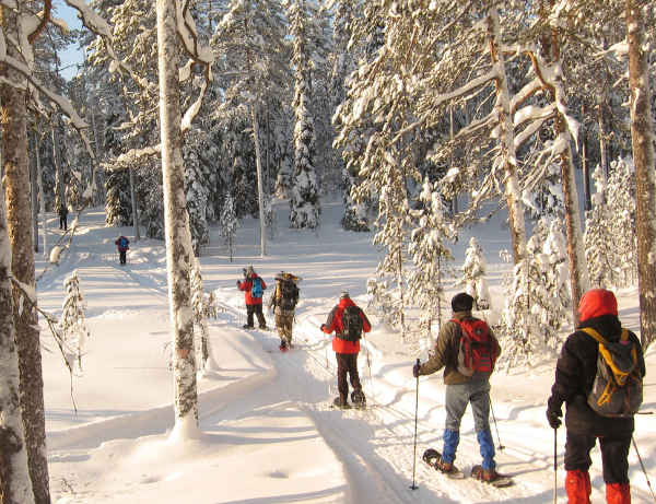 Arctic Adventure