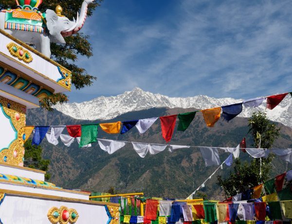 Dalai Lama Himalayan Trek