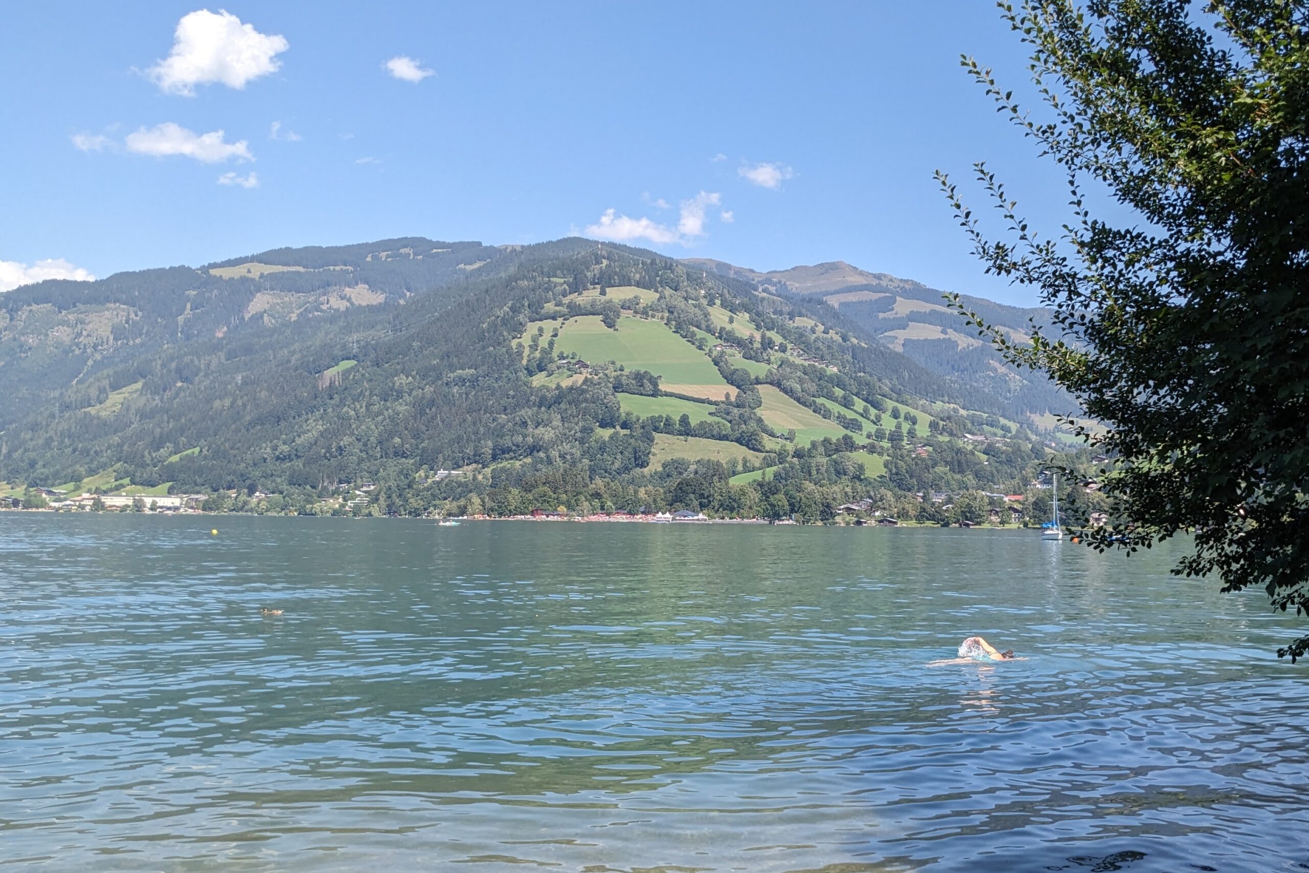 Helen, open water swimming