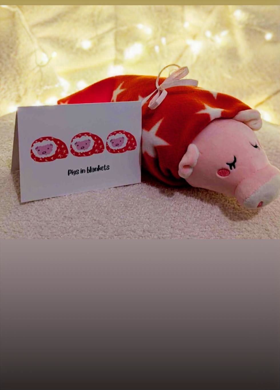 A fluffy pig in a blanket by PigsnThings