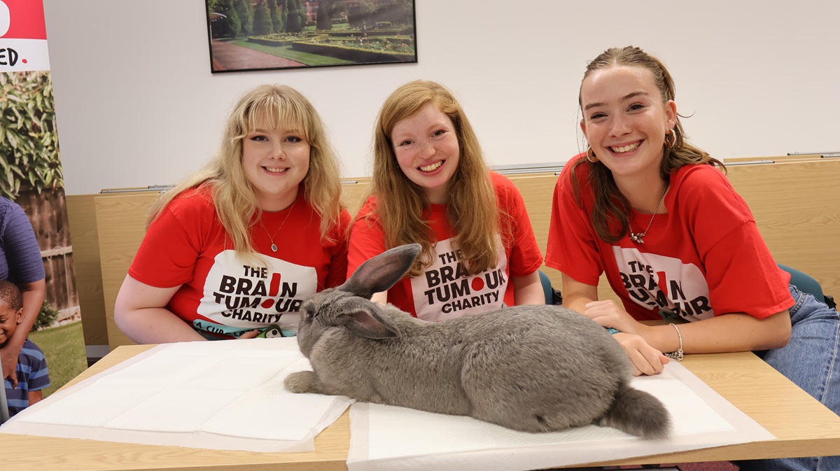 Young Ambassadors pet a rabbit