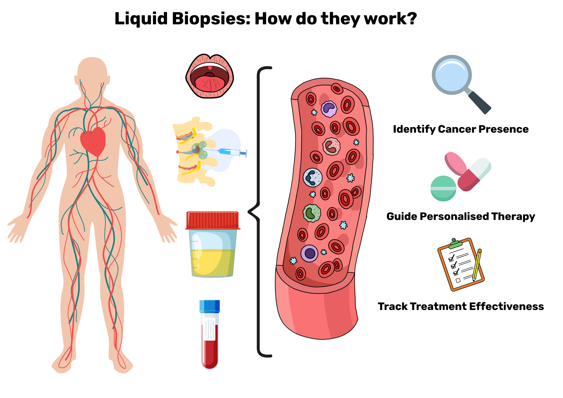 Vector graphic examples of how liquid biopsies are taken and what findings they can produce