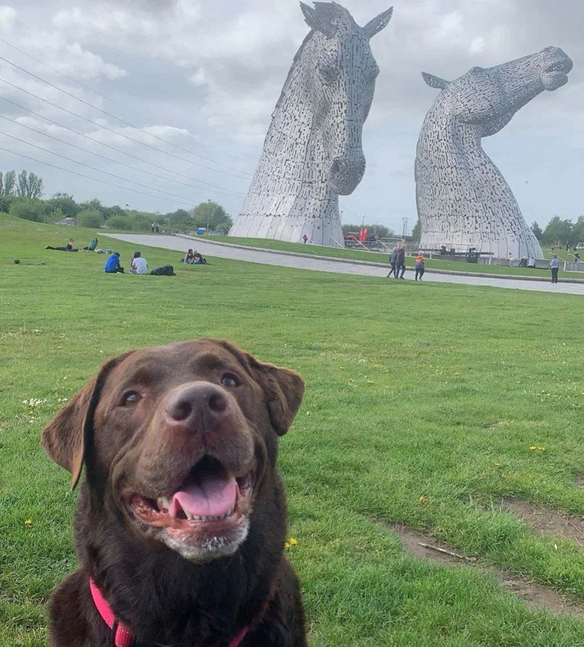 A brown dog with horse head statues in the background