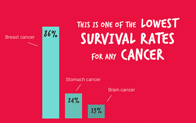 A graph featuring statistics on the low survival rate of brain tumours