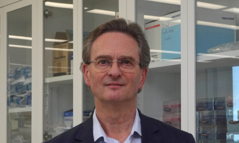 Boosting the immune system to combat glioblastoma