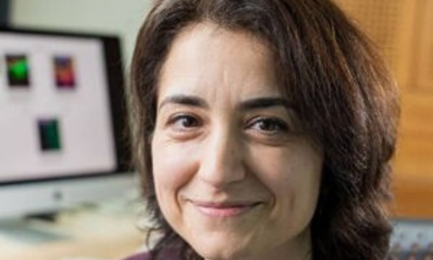 Mapping glioblastoma cells 