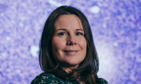 Using Mini-Brain Models to Study Glioblastoma Treatment Responses  