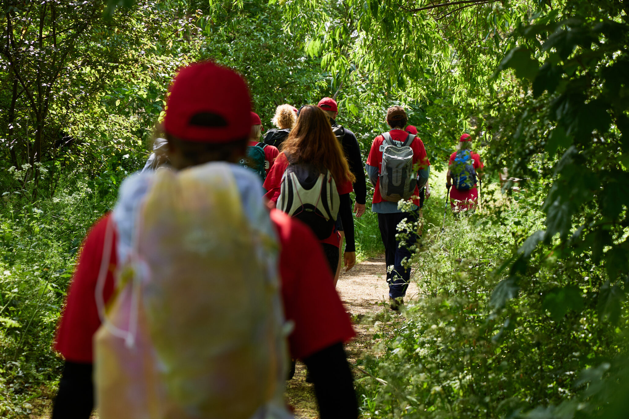 A group of walkers on the Thames Path Walk challenge walk through a wooded area with lots of overhanging trees