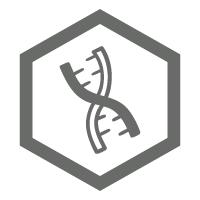 An icon of a DNA strand