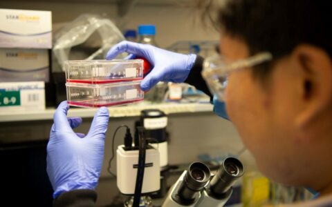 AI tool could help tailor treatment for most common adult brain tumour  