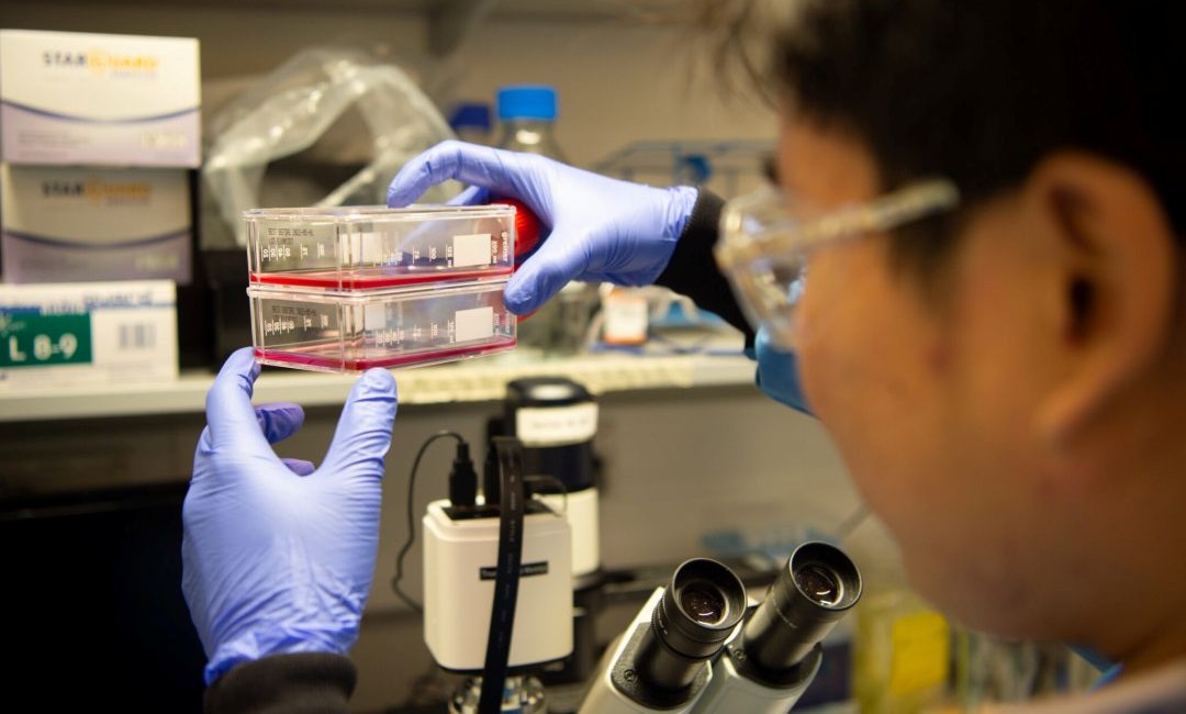 Over-the-shoulder shot of a researcher working in the lab, wearing goggles and gloves.